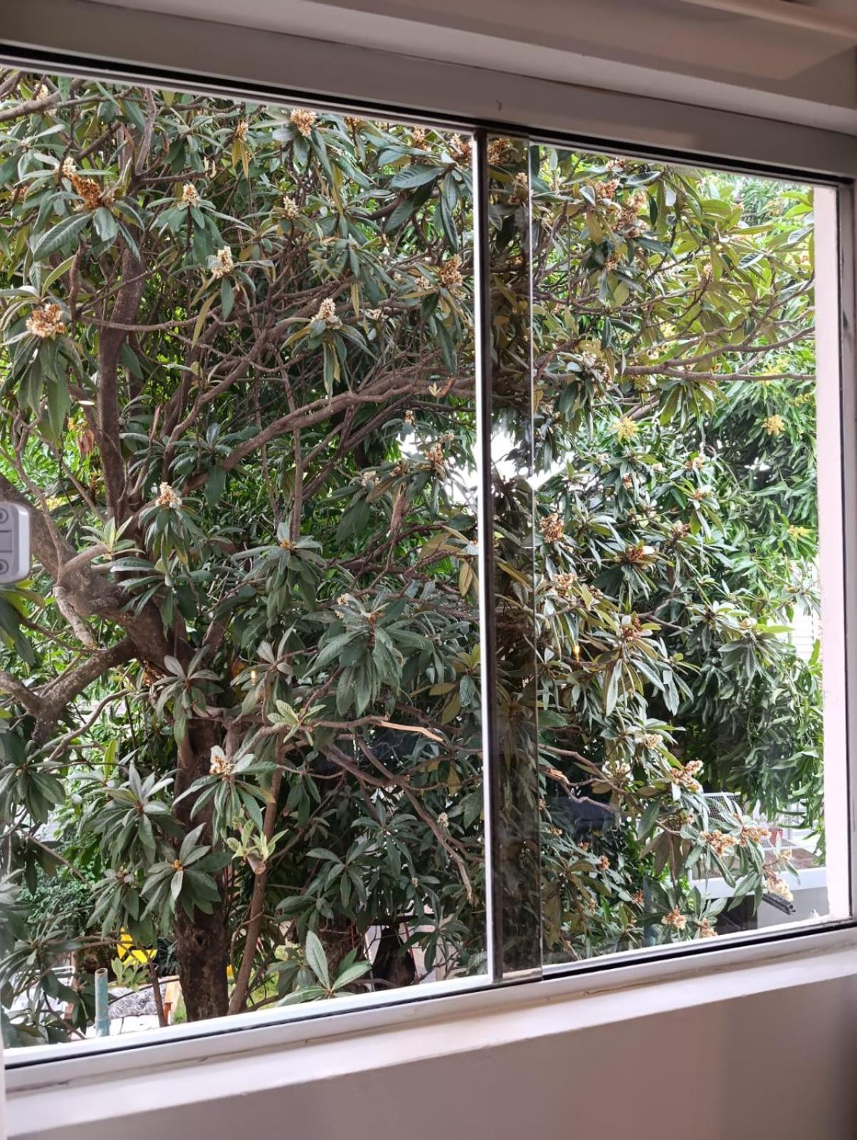 Apartament Taguato Asunción Zewnętrze zdjęcie